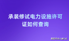 术担任人、平安担任人具有取申请的许可证类别